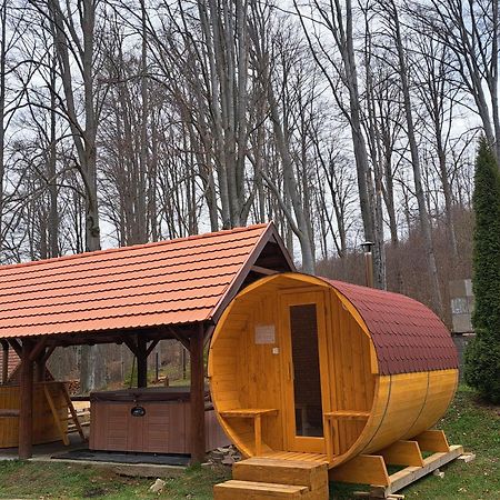 Bed and Breakfast Sebesviz Panzio Repashuta Esterno foto