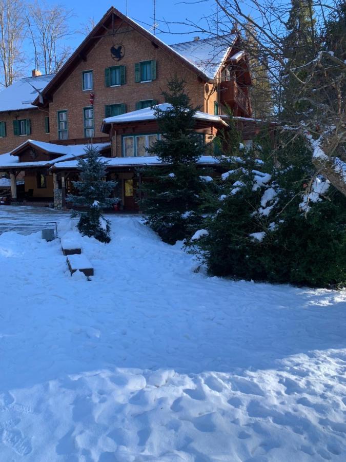 Bed and Breakfast Sebesviz Panzio Repashuta Esterno foto