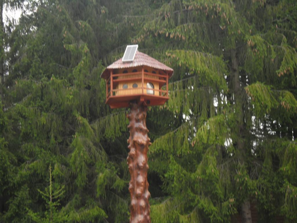 Bed and Breakfast Sebesviz Panzio Repashuta Esterno foto