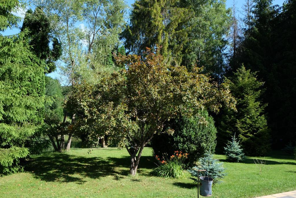 Bed and Breakfast Sebesviz Panzio Repashuta Esterno foto