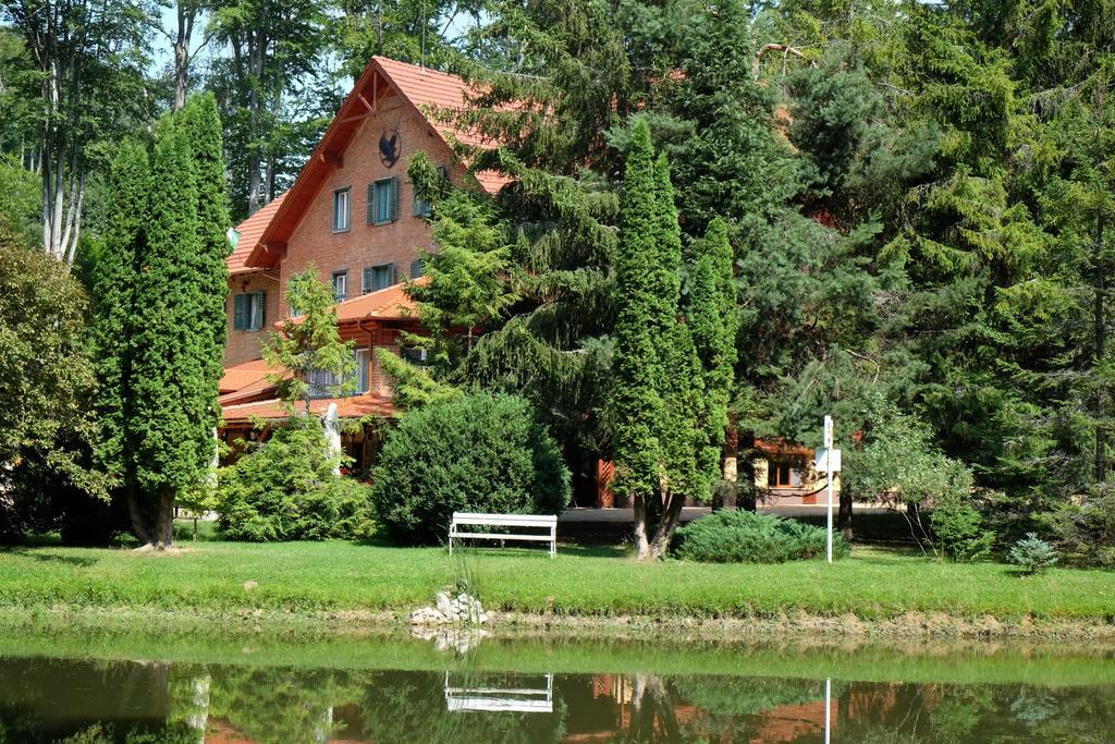 Bed and Breakfast Sebesviz Panzio Repashuta Esterno foto